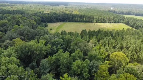 4 County Road 24, Enterprise, MS 39330 photo 8