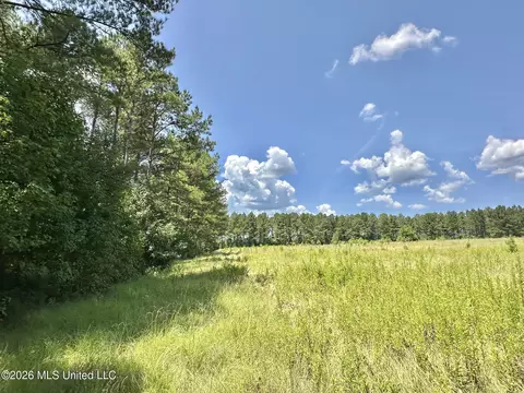 4 County Road 24, Enterprise, MS 39330 photo 2