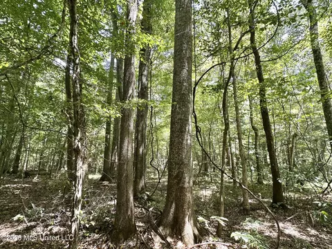 4 County Road 24, Enterprise, MS 39330 photo 5