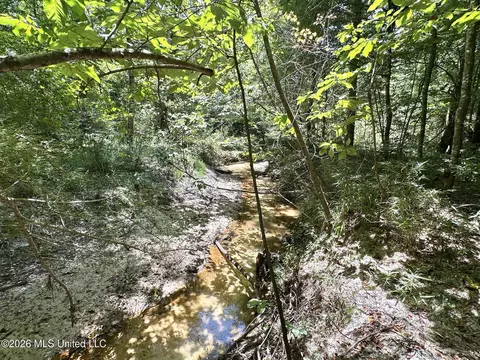4 County Road 24, Enterprise, MS 39330 photo 6