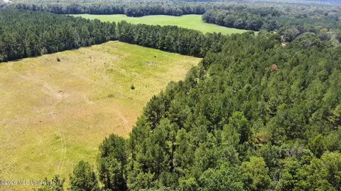 4 County Road 24, Enterprise, MS 39330 photo 9