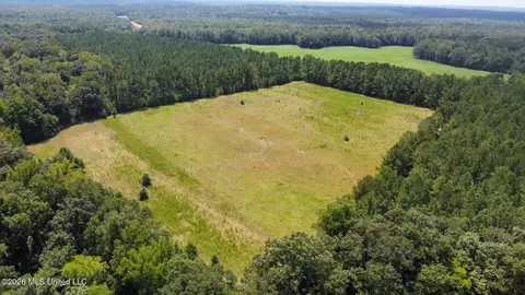 4 County Road 24, Enterprise, MS 39330 photo 10