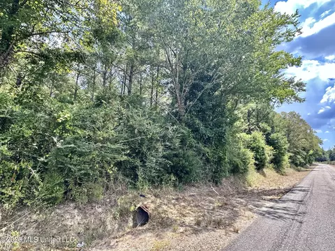 5 County Road 24, Enterprise, MS 39330 photo 8