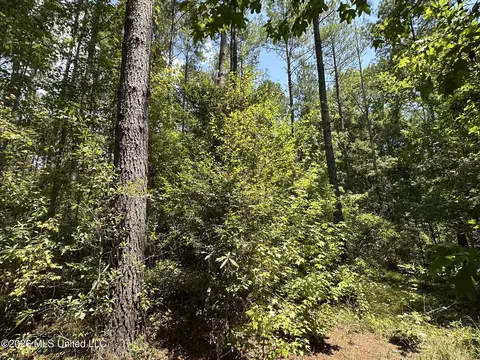 5 County Road 24, Enterprise, MS 39330 photo 3