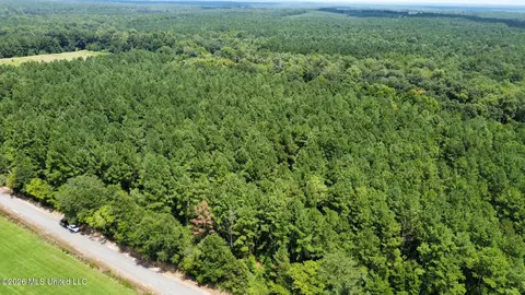 5 County Road 24, Enterprise, MS 39330 photo 11
