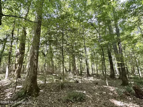 5 County Road 24, Enterprise, MS 39330 photo 7