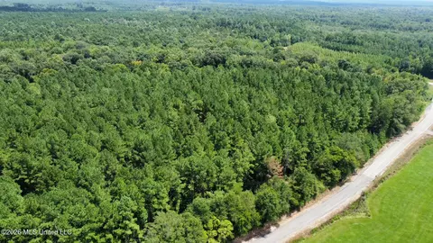 5 County Road 24, Enterprise, MS 39330 photo 10