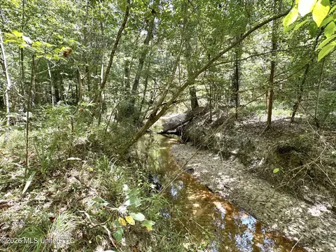 5 County Road 24, Enterprise, MS 39330 photo 5