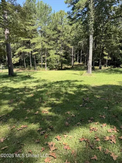 Exterior - 110 Mccormack Cir, Brandon, MS 39042 photo 7 of 10