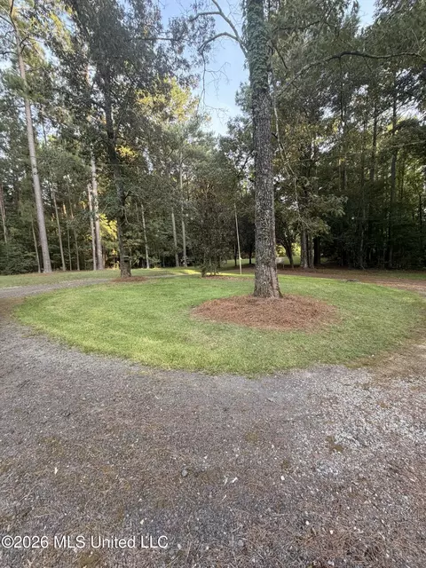 Exterior - 110 Mccormack Cir, Brandon, MS 39042 photo 3 of 10