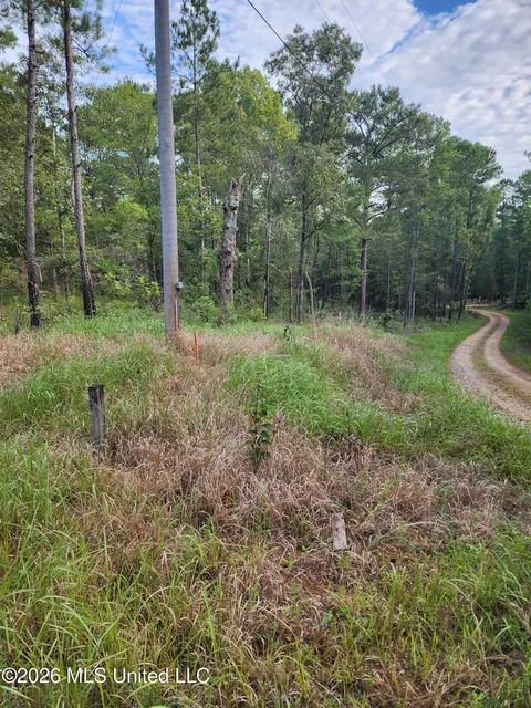 Dogwood Lane, Poplarville, MS 39470