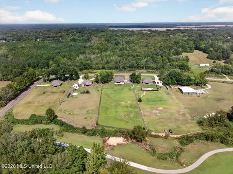 View/Area - 9567 Holly Springs Rd, Hernando, MS 38632 photo 9 of 9
