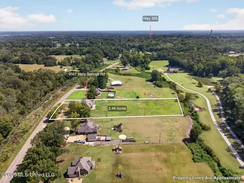 View/Area - 9567 Holly Springs Rd, Hernando, MS 38632 photo 4 of 9