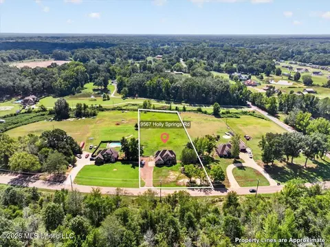 View/Area - 9567 Holly Springs Rd, Hernando, MS 38632 photo 5 of 9