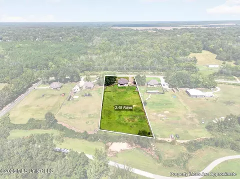 View/Area - 9567 Holly Springs Rd, Hernando, MS 38632 photo 6 of 9