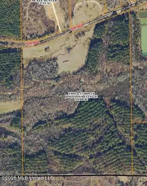 County Road 864, Dennis, MS 38838 photo 2