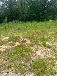 189 Walter Havard Rd, Lucedale, MS 39452 photo 5