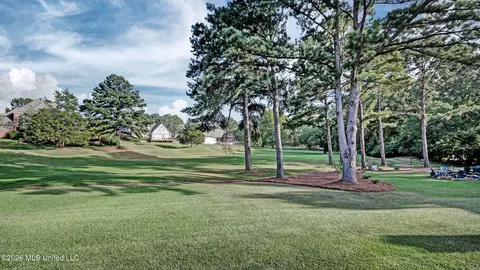 Exterior - 116 Greens View Dr, Madison, MS 39110 photo 5 of 10