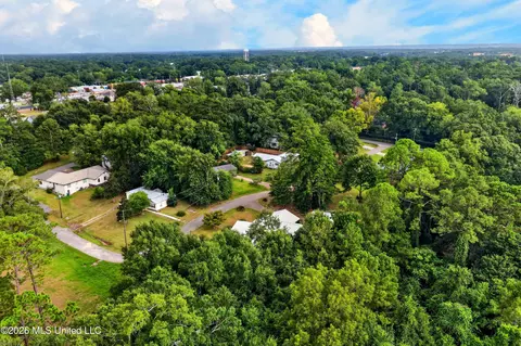 View/Area - 140 Holleman St, Wiggins, MS 39577 photo 3 of 4
