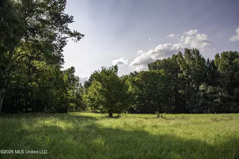 5376 Byhalia Rd, Hernando, MS 38632 photo 4