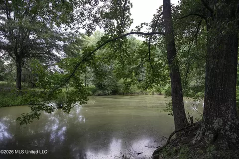 5376 Byhalia Rd, Hernando, MS 38632 photo 34