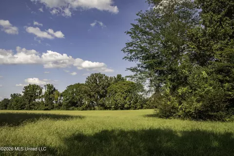 5376 Byhalia Rd, Hernando, MS 38632 photo 30