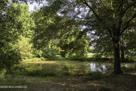 5376 Byhalia Rd, Hernando, MS 38632 photo 11