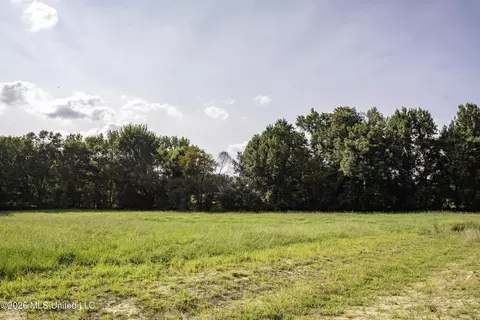 5376 Byhalia Rd, Hernando, MS 38632 photo 33