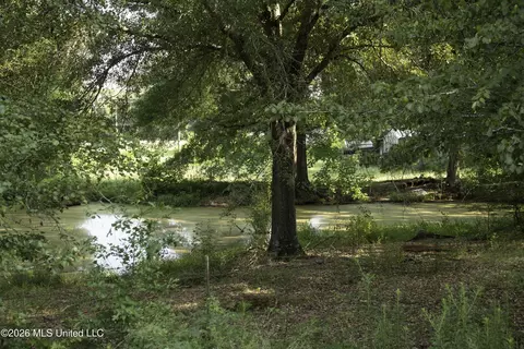 5376 Byhalia Rd, Hernando, MS 38632 photo 25