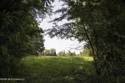 5376 Byhalia Rd, Hernando, MS 38632 photo 19