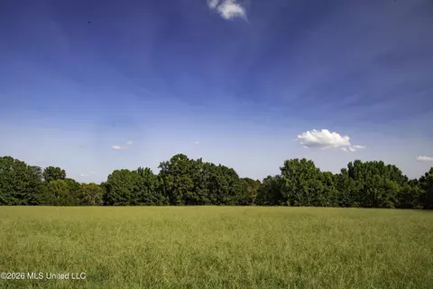 5376 Byhalia Rd, Hernando, MS 38632 photo 3