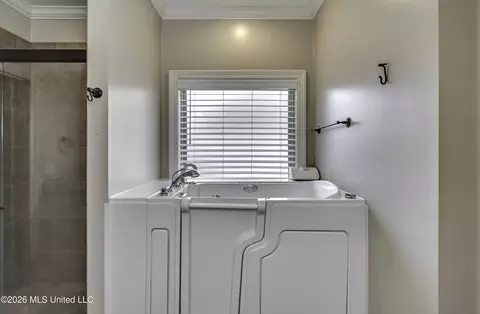 Bath - 116 Elizabeth Dr, Brandon, MS 39042 photo 5 of 9