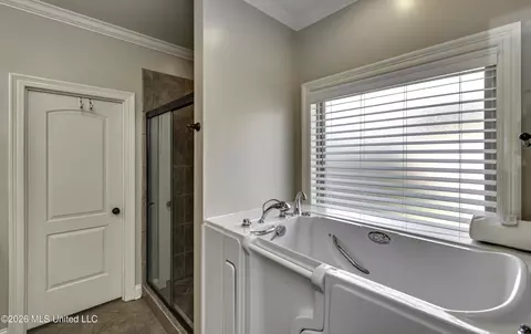 Bath - 116 Elizabeth Dr, Brandon, MS 39042 photo 7 of 9