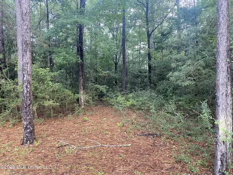 4 E Bond Rd, Wiggins, MS 39577 photo 4