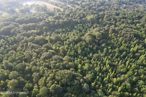 3591 Us 51, Canton, MS 39046 photo 8