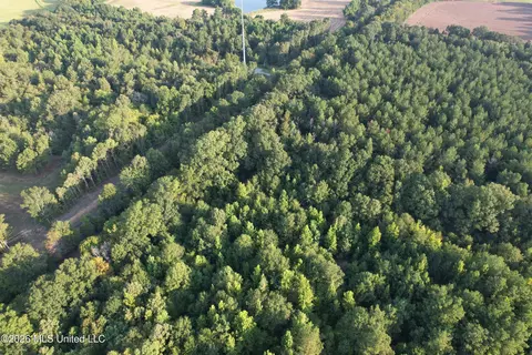 3591 Us 51, Canton, MS 39046 photo 6