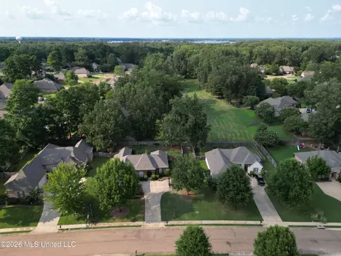 View/Area - 124 Hemlock Ln, Madison, MS 39110 photo 2 of 4