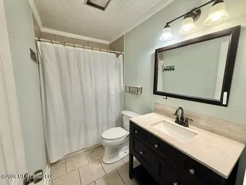 Bath - 255 Red Allen Rd, Brandon, MS 39042 photo 1 of 2