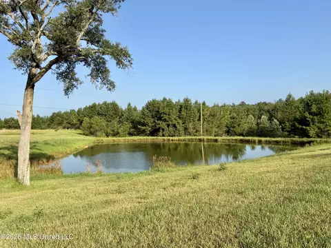64 9 Acres Neely Avera Rd, Neely, MS 39461 photo 2