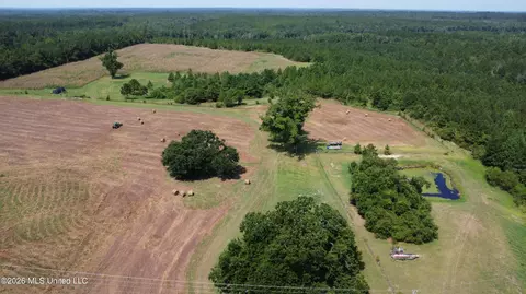 64 9 Acres Neely Avera Rd, Neely, MS 39461 photo 6