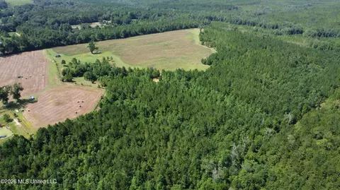 64 9 Acres Neely Avera Rd, Neely, MS 39461 photo 11