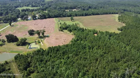 64 9 Acres Neely Avera Rd, Neely, MS 39461 photo 10