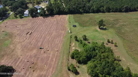 64 9 Acres Neely Avera Rd, Neely, MS 39461 photo 9