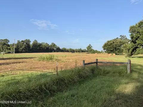 64 9 Acres Neely Avera Rd, Neely, MS 39461 photo 4