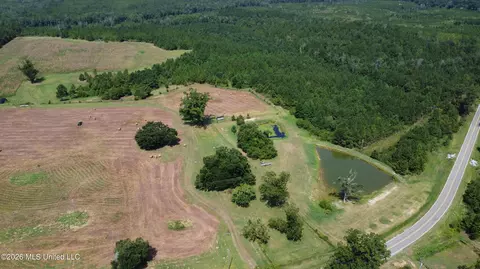 64 9 Acres Neely Avera Rd, Neely, MS 39461 photo 7