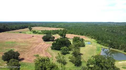 64 9 Acres Neely Avera Rd, Neely, MS 39461 photo 5