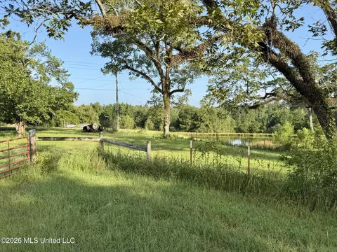 64 9 Acres Neely Avera Rd, Neely, MS 39461 photo 3