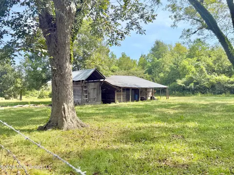 Exterior - 8488 Neely Avera Rd, Neely, MS 39461 photo 12 of 13