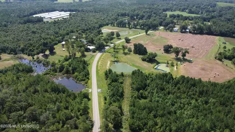 Other - 8488 Neely Avera Rd, Neely, MS 39461 photo 21 of 22