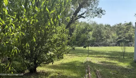 Exterior - 8488 Neely Avera Rd, Neely, MS 39461 photo 10 of 13